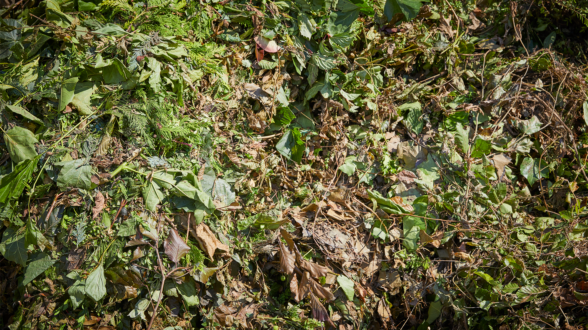 Groen tuinafval containers